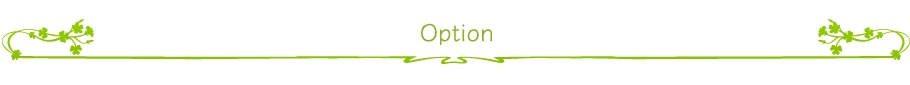 Option